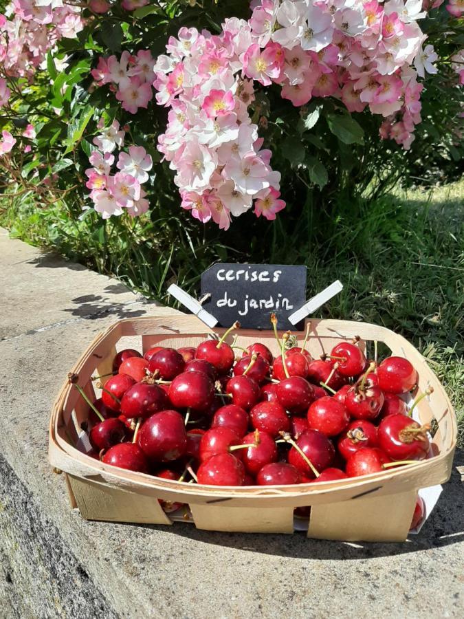 Bed & Breakfast Au Perche